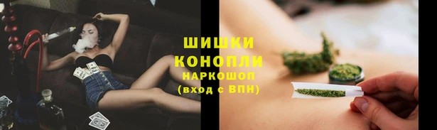 круглые Вяземский
